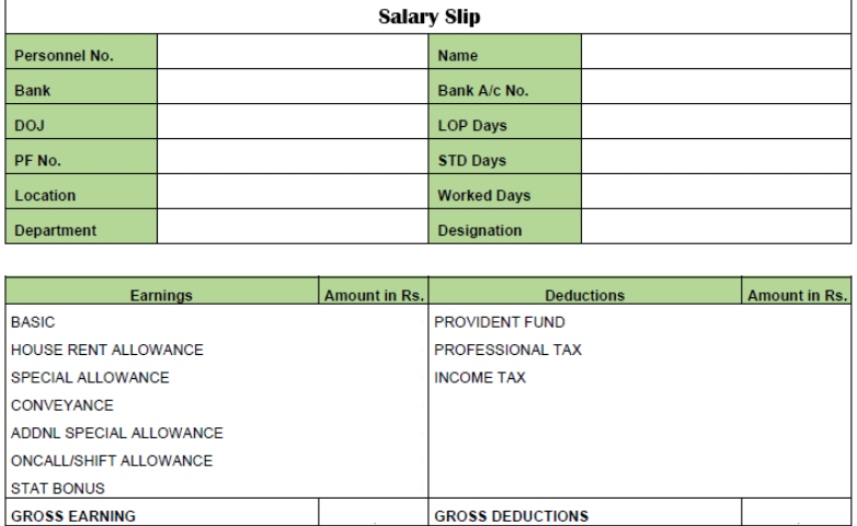 Salary Slip Pay Slip